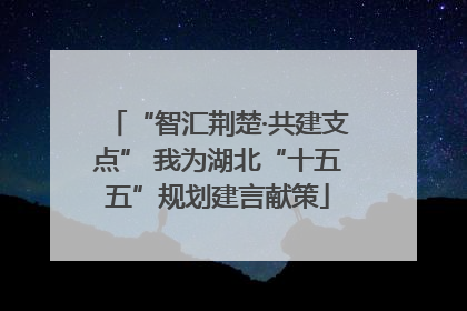 “智汇荆楚·共建支点” 我为湖北“十五五”规划建言献策